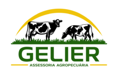 Gelier