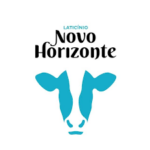 novo-horizonte