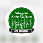 sete_voltas